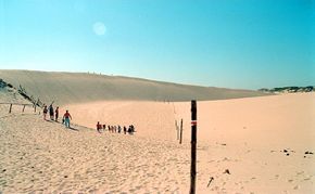 Polish coast dunes.