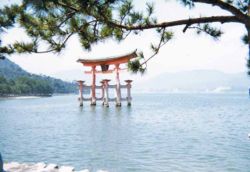 Torii at Itsukushima Shrine