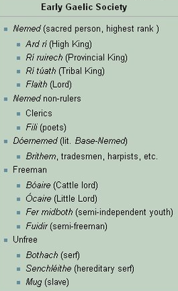 This is a rough model of early Gaelic society gained from early Gaelic legal texts. The structure is applicable to pre-Norman Gaelic Scotland, although the terminology very different in Scottish Latin sources.