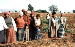 Farm workers