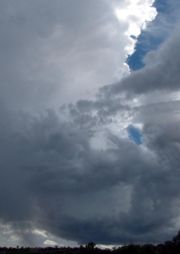 A single cell thunderstorm.