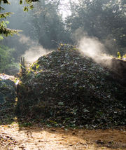 An active compost heap