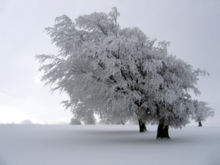 In many parts of the world, winter is associated with snow and ice. Winter in Germany (above).