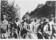 In the Independent State of Croatia, Serbs, Jews and Gypsies were marched to the Jasenovac concentration camp