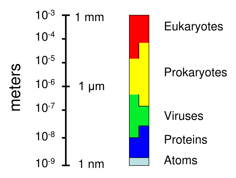 Image:Relative scale.svg