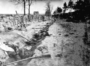 Confederate dead behind the stone wall of Marye's Heights, Fredericksburg, Virginia, killed during the Battle of Chancellorsville, May 1863.