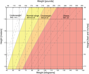 An example of a body mass index chart