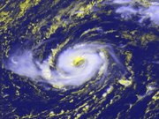 Hurricane Vince on October 9, 2005 northwest of the Madeira Islands. For comparison, the main island of the Madeiras (the largest island in the picture) is approximately 30 miles (57 km) long. (© 2005 EUMETSAT)