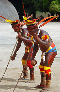 Indigenous people of Brazil