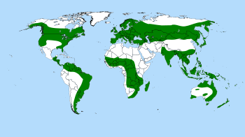 Distribution of the genus Drosera