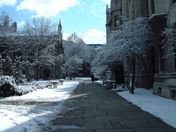 The quadrangles during wintertime.