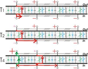 Propagating action potentials can be modeled by joining several RC circuits, each one representing a patch of membrane.