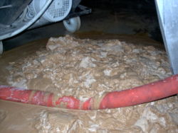 A mixture of diatomaceous earth and yeast after filtering beer.