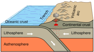 Oceanic-continental convergence resulting in subduction and volcanic arcs illustrates one effect of plate techtonics.