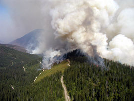 Wildfires burned 10% of the park in 2003.