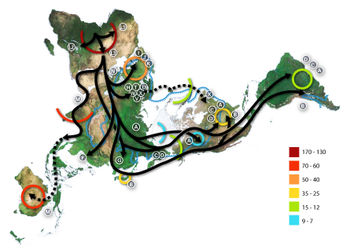 Map of early human migrations according to  mitochondrial population genetics (The arctic is at the centre of the map and the numbers are millennia before present).