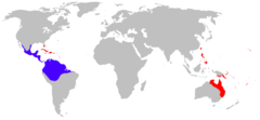 Distribution of the Cane Toad. Native distribution in blue, introduced in red.