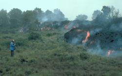 An aa lava flow overruns vegetation during the 1984 eruption.