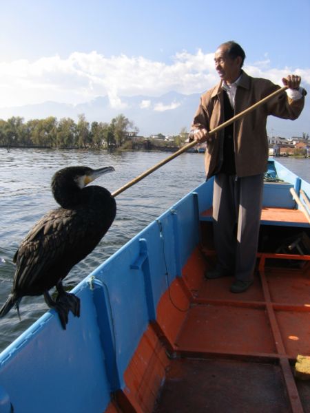 Image:Man with cormorant.jpg