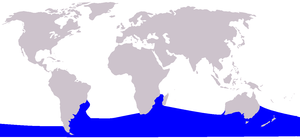 Range of the Southern Right Whale, Eubalaena australis