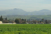 Mount Hamilton range in January, with morning fog clearing away.