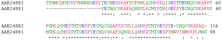 A sequence alignment, produced by ClustalW between two human zinc finger proteins identified by GenBank accession number. (Key) 