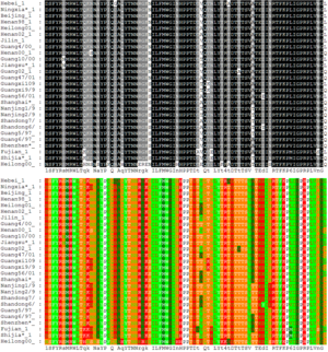 Alignment of 27 avian influenza hemagglutinin protein sequences colored by residue conservation (top) and residue properties (bottom)