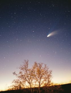 Comet Hale-Bopp