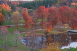 F.R. Newman Arboretum