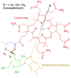 Cyanocobalamin chemical structure