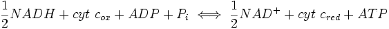 \frac{1}{2}NADH + cyt~c_{ox} + ADP + P_{i} \iff \frac{1}{2}NAD^{+} + cyt~c_{red} + ATP