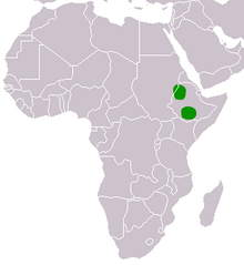 Ethiopian Wolf range