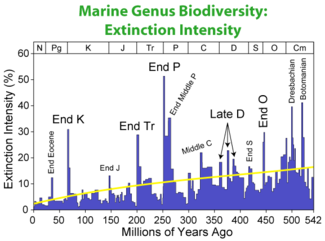 Apparent fraction of genera going extinct at any given time, as reconstructed from the fossil record (Graph not meant to include recent epoch of Holocene extinction event).