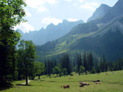 The beautiful scenery in southern Bavaria, cold during winters and hot in the summer