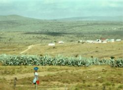 A rural area in Ciskei, one of the apartheid-era "homelands"