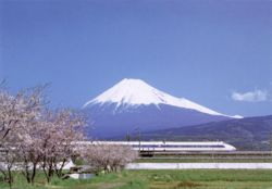 Sakura with Mount Fuji and the Shinkansen high-speed train in the background