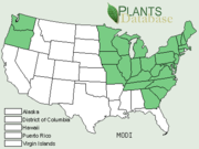 U.S. range of Scarlet beebalm